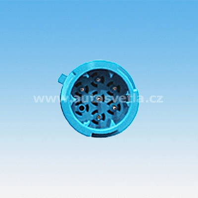 Tail Light Assembly (720383)