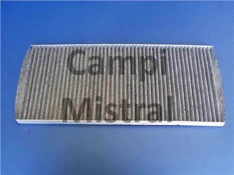Filter, cabin air (AVF0102C)