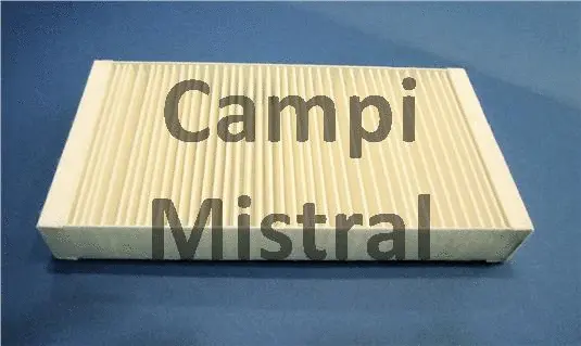 Filter, cabin air (AVF1211)