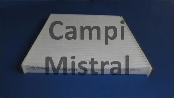 Filter, cabin air (AVF2411)