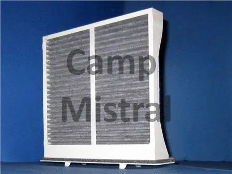 Filter, cabin air (AVF2503C)