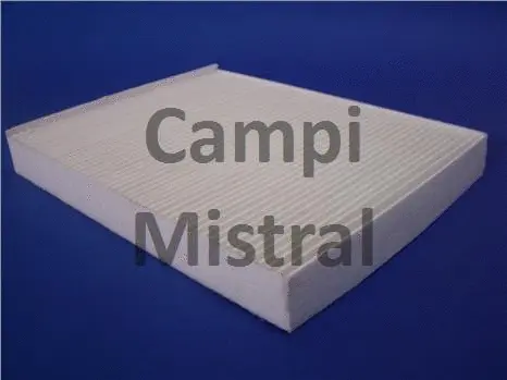 Filter, cabin air (AVF0209)