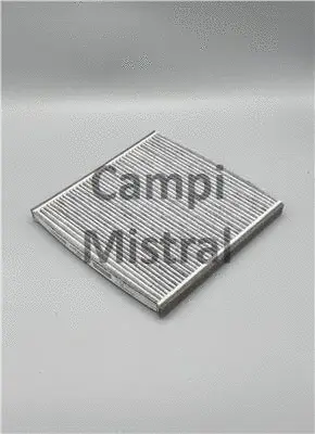 Filter, cabin air (AVF1602C)