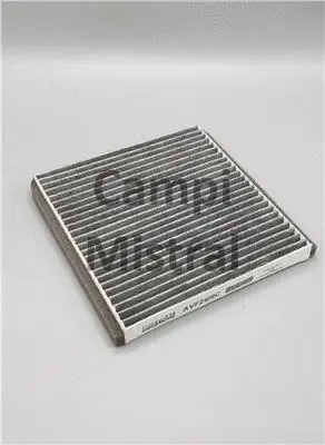 Filter, cabin air (AVF2109C)