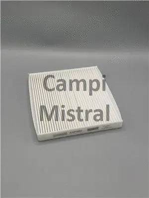 Filter, cabin air (AVF1901)