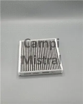 Filter, cabin air (AVF2401C)