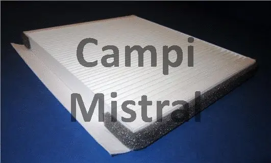Filter, cabin air (AVF2306)