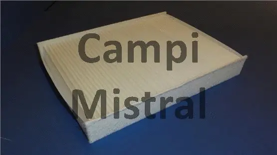 Filter, cabin air (AVF0210)