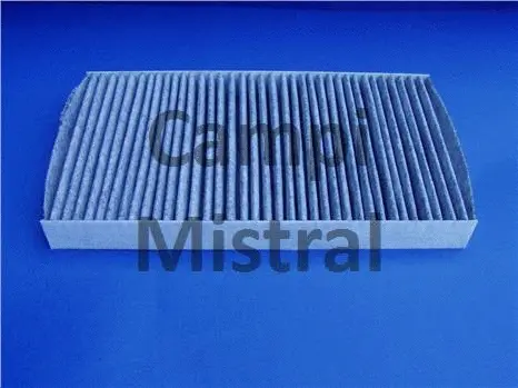 Filter, cabin air (AVF0105)