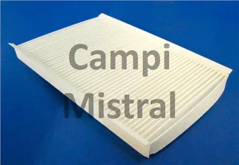 Filter, cabin air (AVF0119)