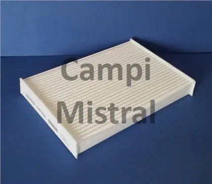 Filter, cabin air (AVF1020)