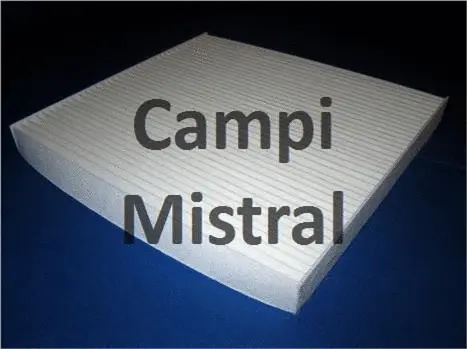 Filter, cabin air (AVF1603)