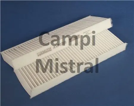 Filter, cabin air (AVF0309)
