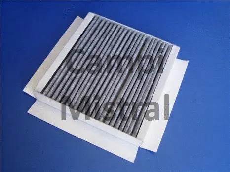 Filter, cabin air (AVF1206C)