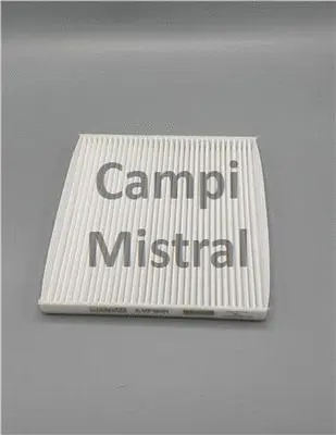 Filter, cabin air (AVF1601)