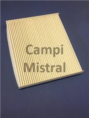 Filter, cabin air (AVF2612)