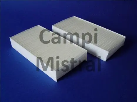 Filter, cabin air (AVF1702)