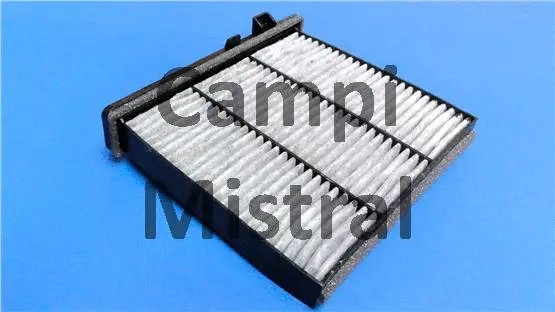 Filter, cabin air (AVF2905C)