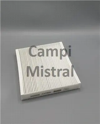 Filter, cabin air (AVF0609)