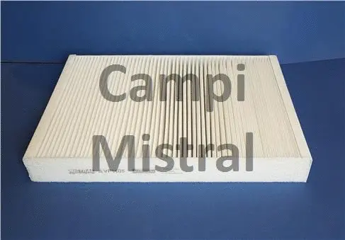 Filter, cabin air (AVF1405)
