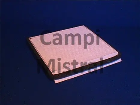 Filter, cabin air (AVF0301)