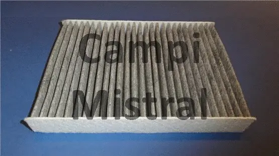 Filter, cabin air (AVF0210C)