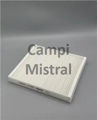 Filter, cabin air (AVF0606)