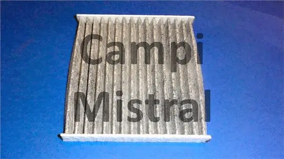 Filter, cabin air (AVF2504C)