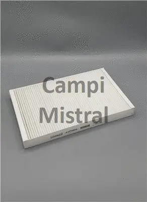 Filter, cabin air (AVF0804)