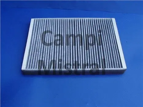 Filter, cabin air (AVF1204C)