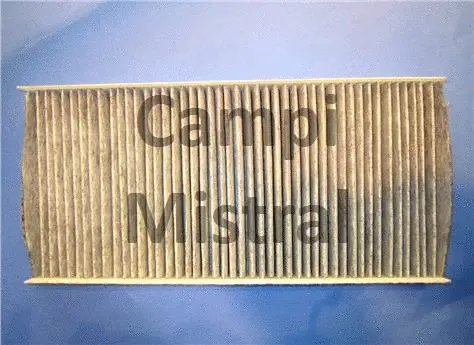 Filter, cabin air (AVF0122C)