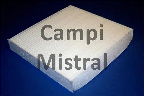 Filter, cabin air (AVF2409)