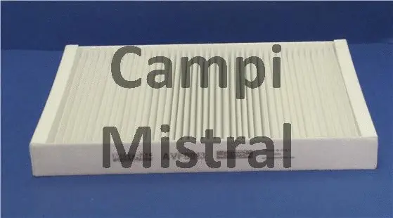 Filter, cabin air (AVF0913)