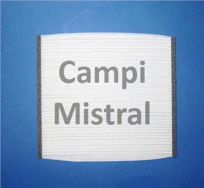Filter, cabin air (AVF2001)