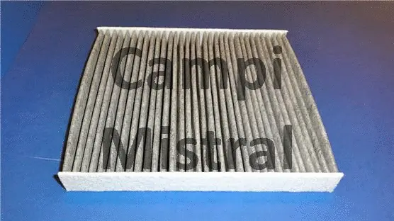 Filter, cabin air (AVF0809C)