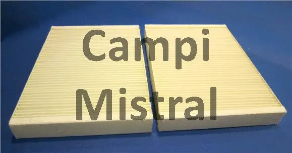 Filter, cabin air (AVF1213)