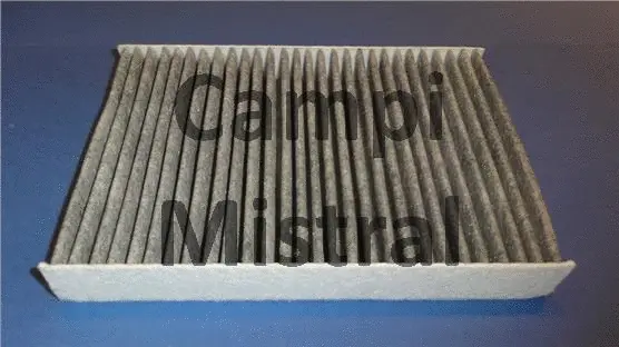 Filter, cabin air (AVF1110C)