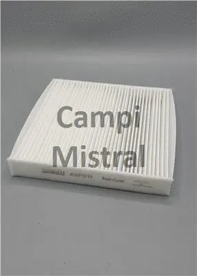 Filter, cabin air (AVF1711)