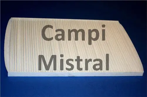 Filter, cabin air (AVF1605)