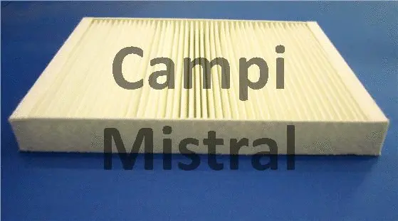Filter, cabin air (AVF1109)