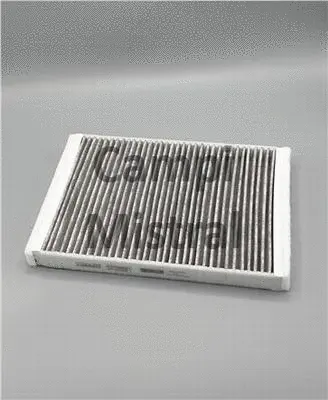 Filter, cabin air (AVF0605C)