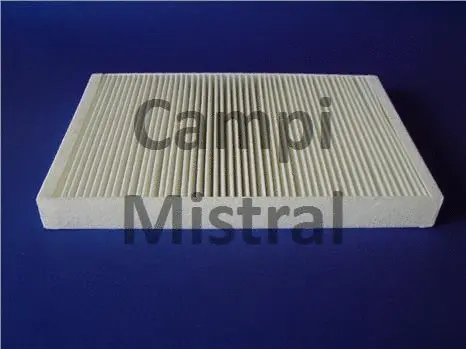 Filter, cabin air (AVF0805)