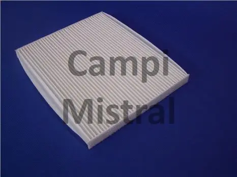 Filter, cabin air (AVF0117)