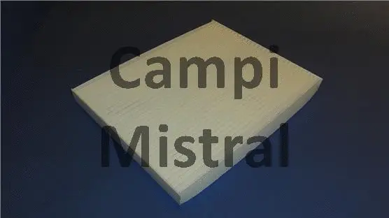 Filter, cabin air (AVF2311)