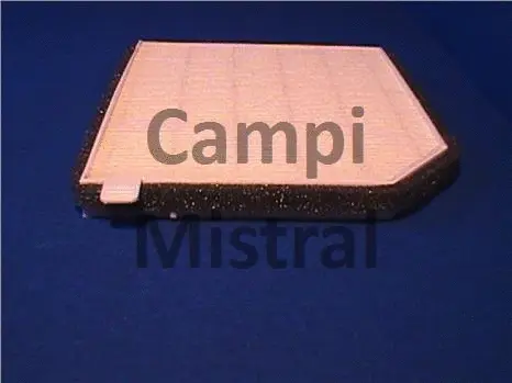 Filter, cabin air (AVF1001)