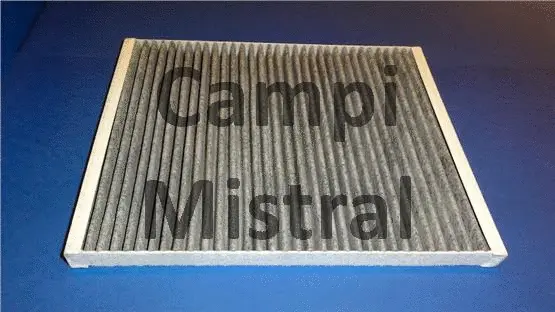 Filter, cabin air (AVF0701C)