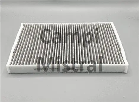 Filter, cabin air (AVF0811C)