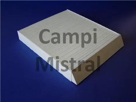 Filter, cabin air (AVF1006)