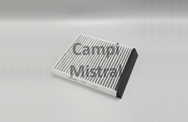 Filter, cabin air (AVF1006C)
