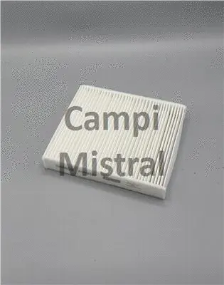 Filter, cabin air (AVF0121)